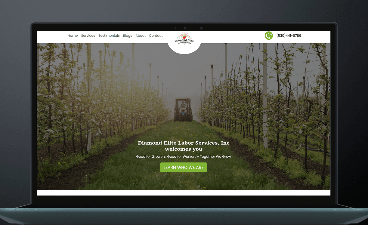 Diamond Elite Website